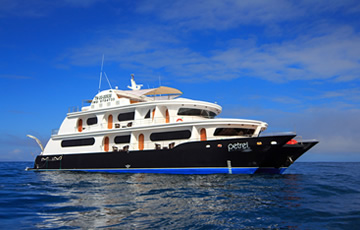 M/C Petrel Galapagos Motor Catamaran